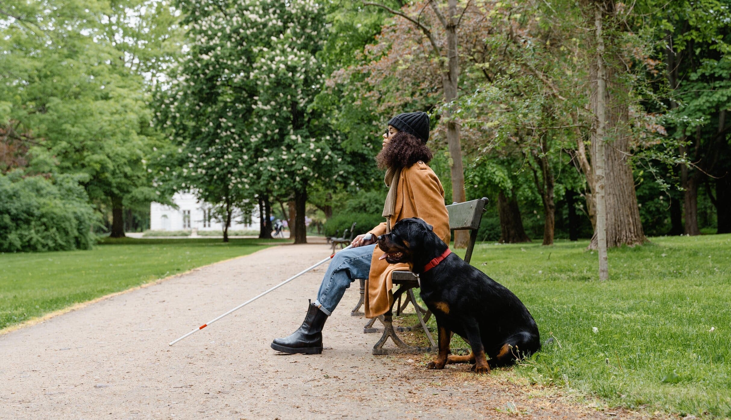 Decorative picture of a lady sat on a bench with her guide dog.